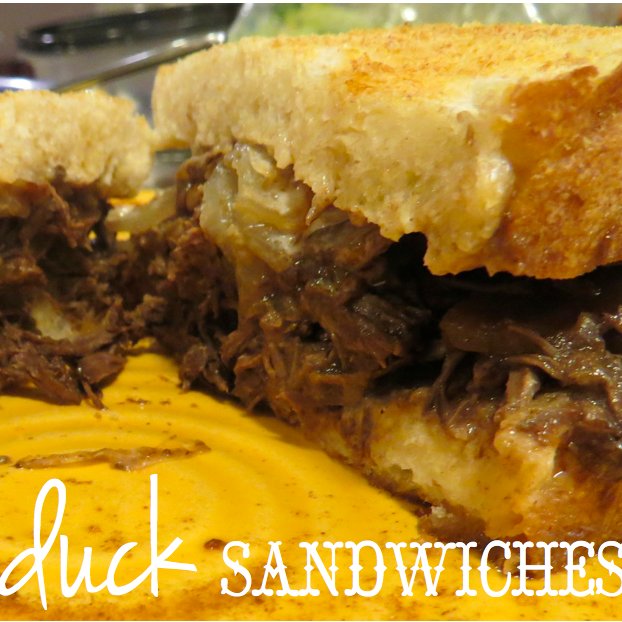 crockpotducksandwich