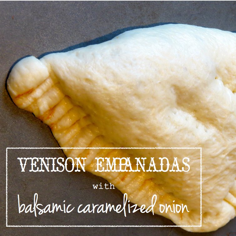 venisonempanada