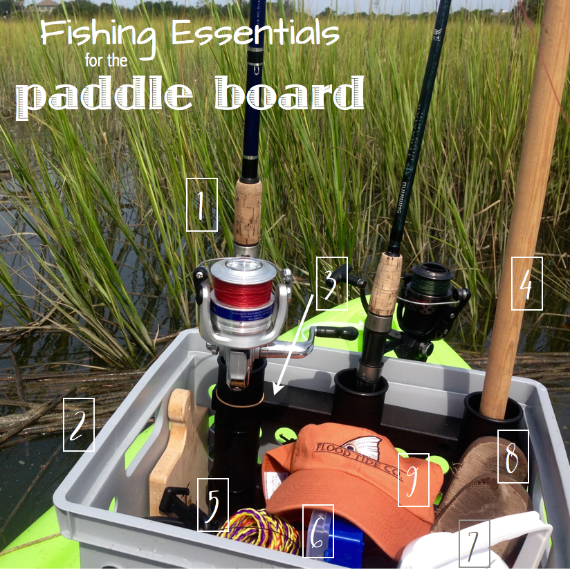 paddlefishessentials