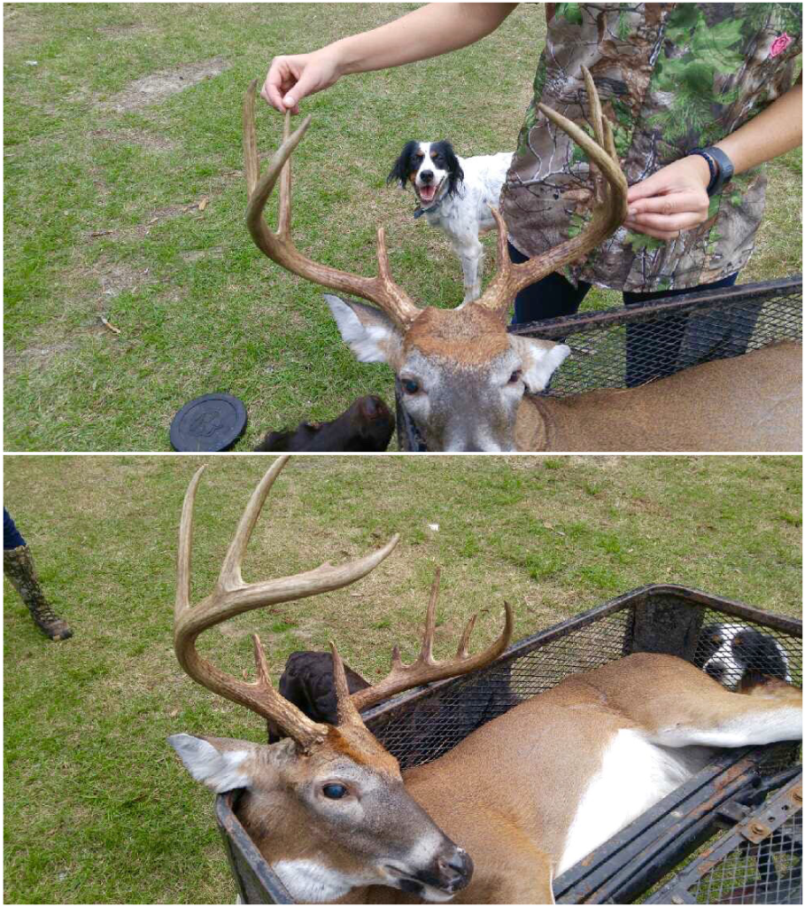 10 pt rack size 1