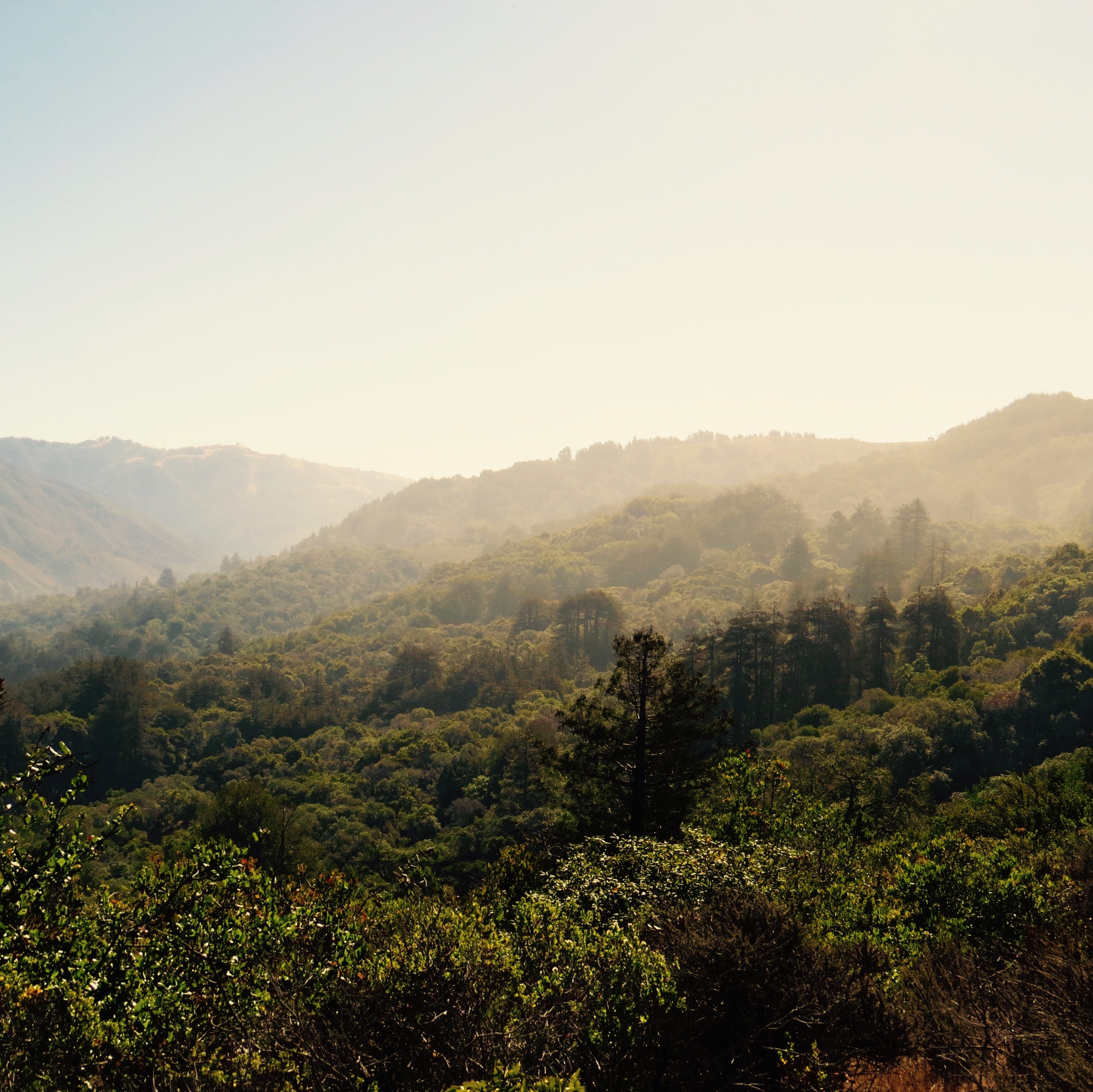 big sur 1