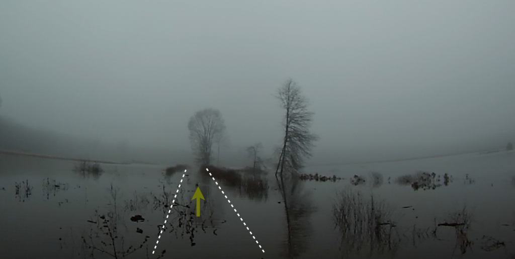 fog pond walk