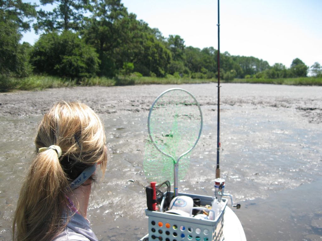 hollis-paddleboard-mudflat