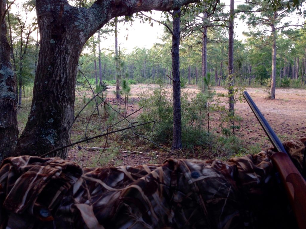 deer-hunt-field-view